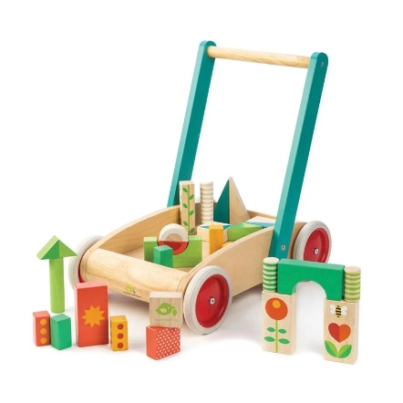 Tender Leaf Toys 繽紛積木學步車